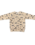Boy's Raglan Sweatshirt