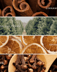 Happy Holidays candle fragrance notes featuring cinnamon, fresh-cut trees, orange, and cloves