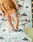 National Parks Crib Sheet