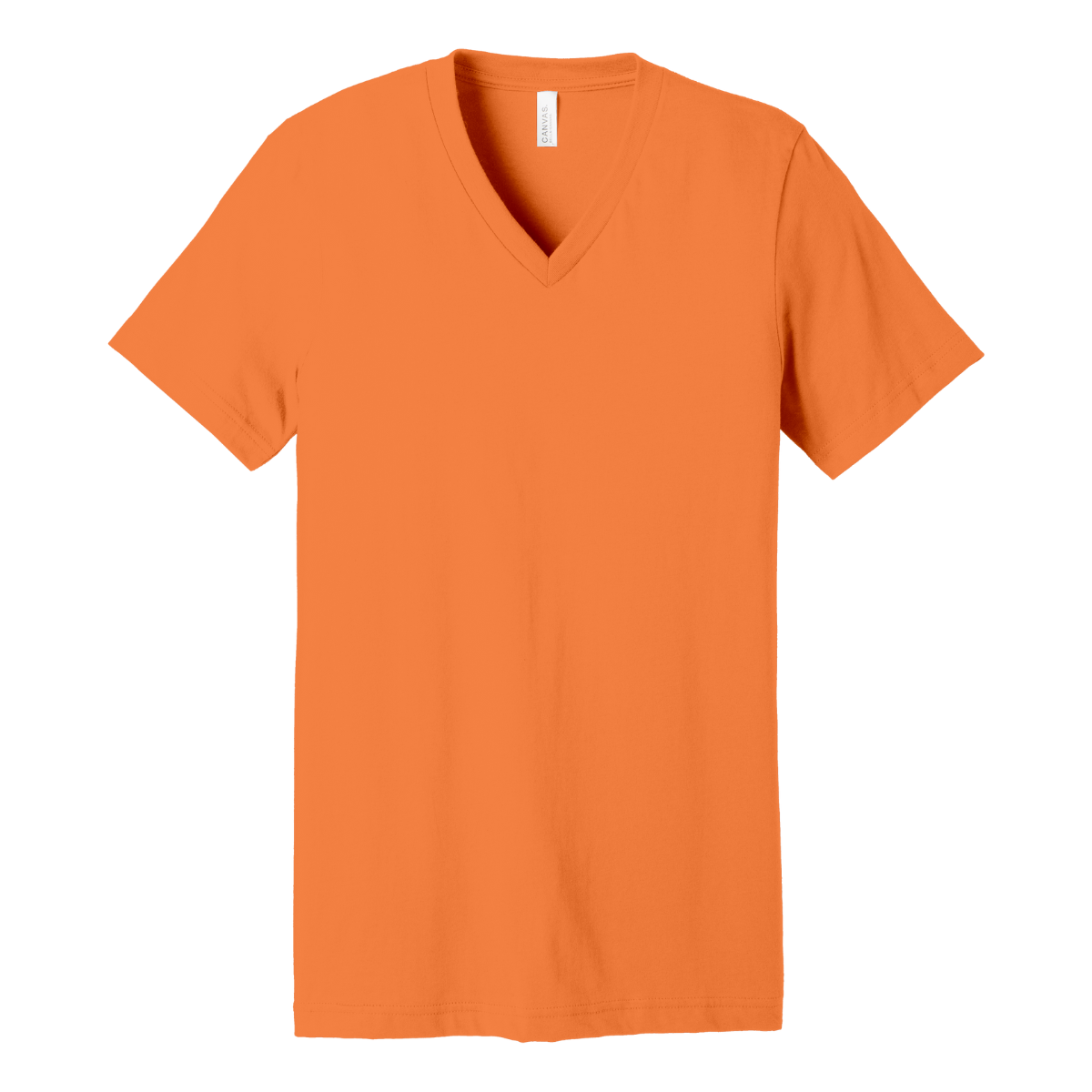 3005 Bella + Canvas Custom Unisex V-Neck T-Shirt