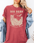 Big Bend National Park – Women’s Nature Tee