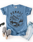 Denali National Park Alaska Neutral Tee Shirt Top