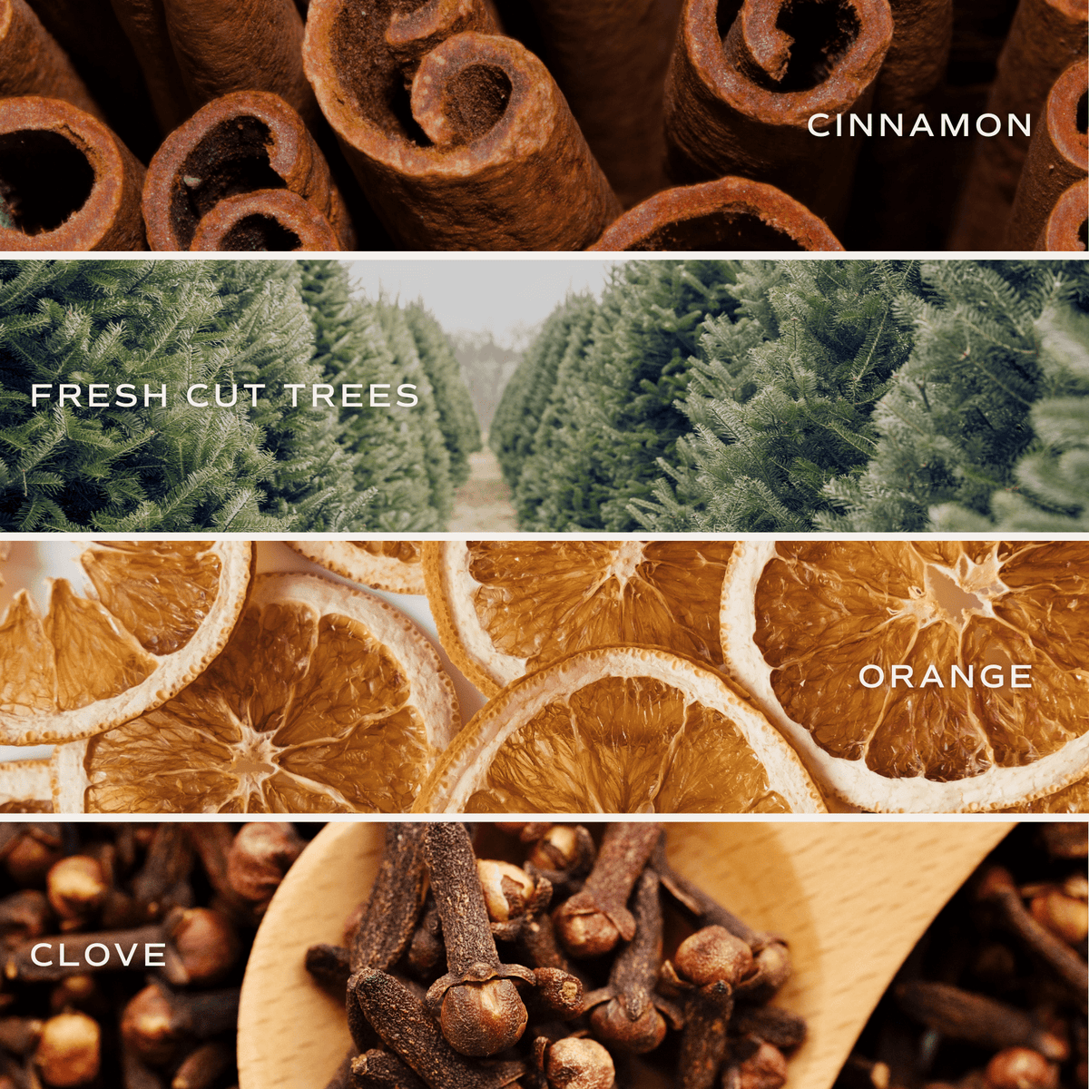 Happy Holidays candle fragrance notes featuring cinnamon, fresh-cut trees, orange, and cloves