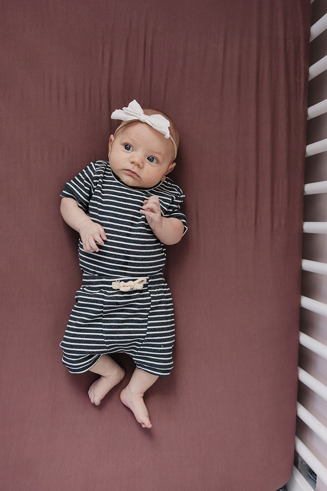 Plum Bamboo Stretch Crib Sheet