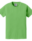 C9018 Comfort Colors Youth Heavyweight T-Shirt