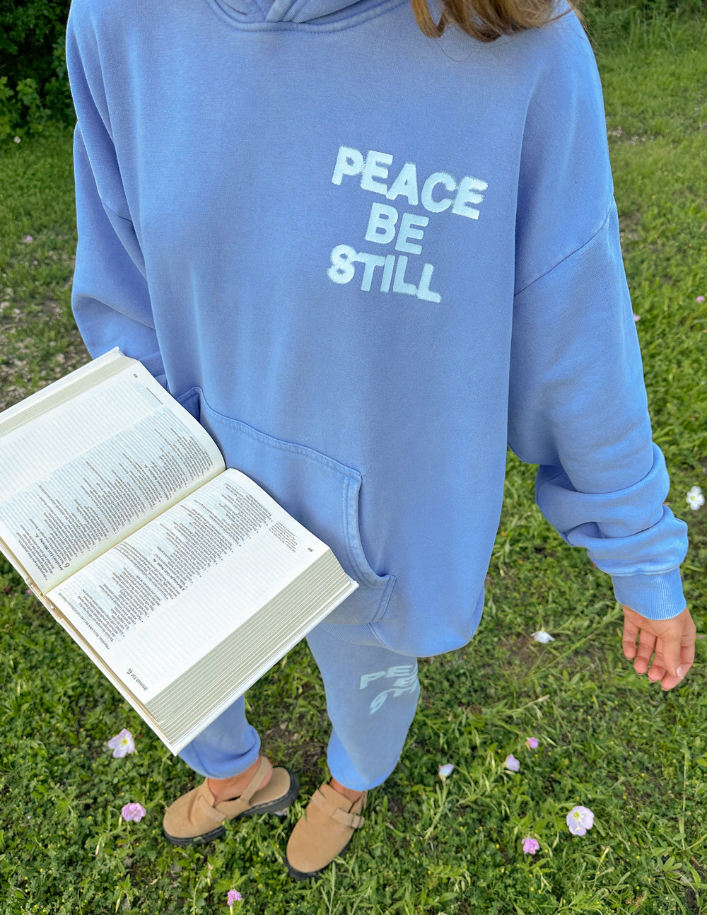 Peace Be Still Mountain Bluebird Hoodie